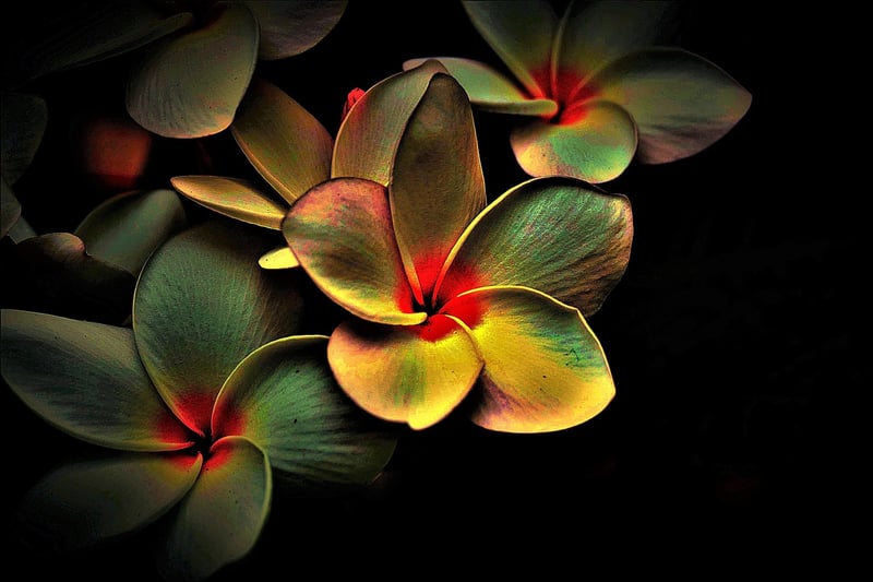 Abstract whispers