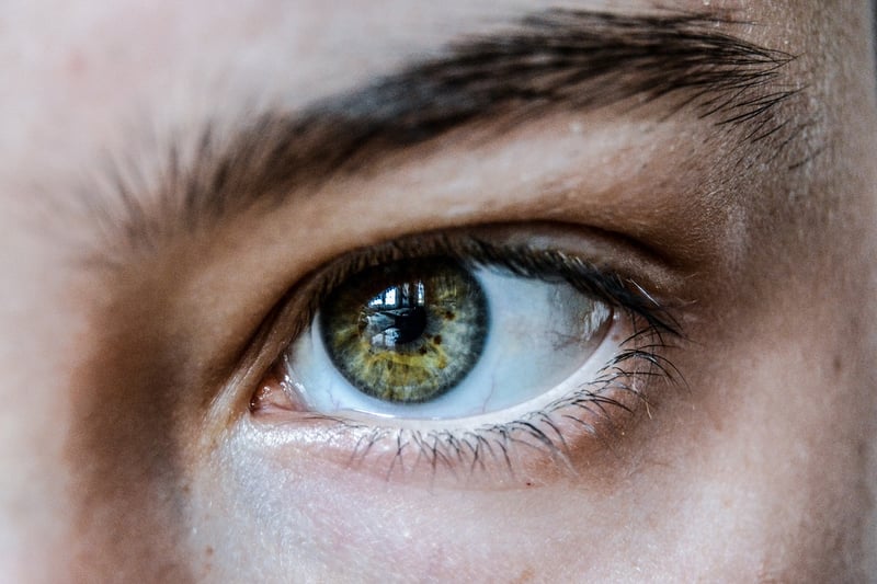Eyes watching for hidden truths