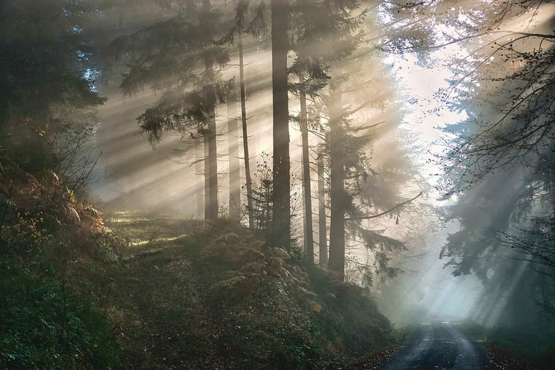 Secret Messages in the Fog